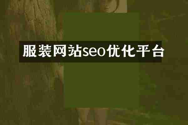 服装网站seo优化平台