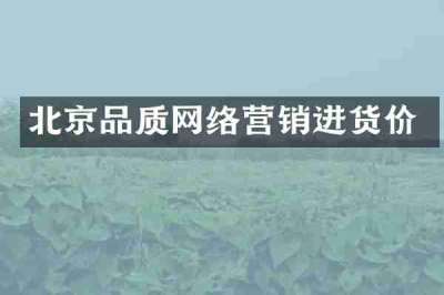 北京品质网络营销进货价