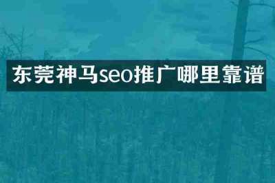 东莞神马seo推广哪里靠谱