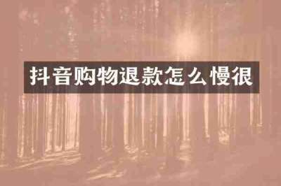 抖音购物退款怎么慢很
