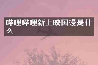 哔哩哔哩新上映国漫是什么