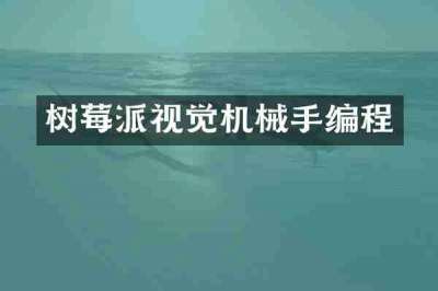 树莓派视觉机械手编程