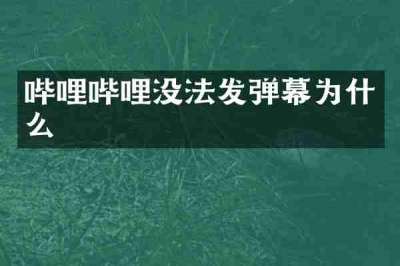 哔哩哔哩没法发弹幕为什么