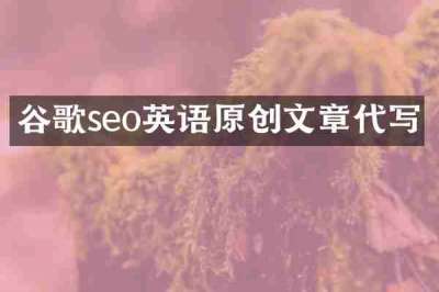谷歌seo英语原创文章代写