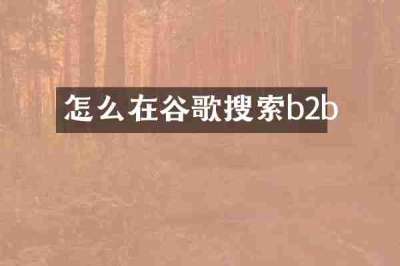 怎么在谷歌搜索b2b
