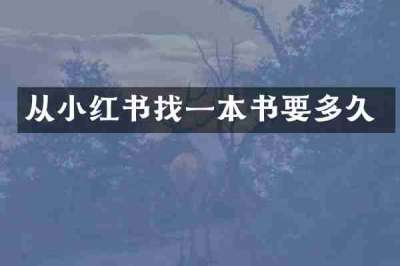 从小红书找一本书要多久