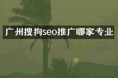 广州搜狗seo推广哪家专业