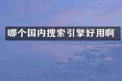哪个国内搜索引擎好用啊