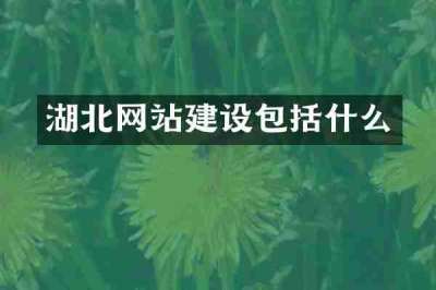 湖北网站建设包括什么