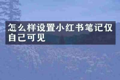 怎么样设置小红书笔记仅自己可见