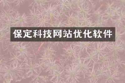 保定科技网站优化软件