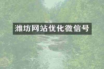 潍坊网站优化微信号