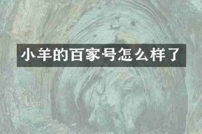 小羊的百家号怎么样了