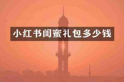 小红书闺蜜礼包多少钱