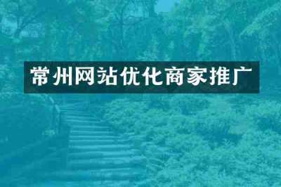 常州网站优化商家推广