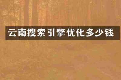 云南搜索引擎优化多少钱
