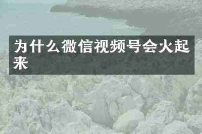 为什么微信视频号会火起来