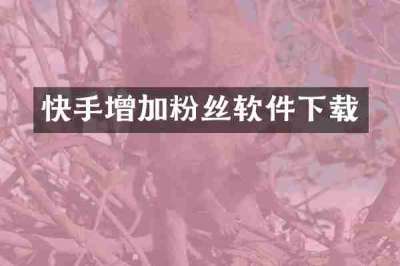 快手增加粉丝软件下载