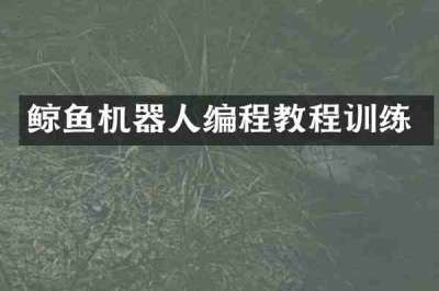 鲸鱼机器人编程教程训练
