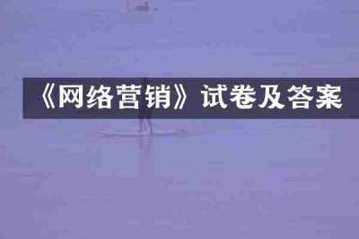 《网络营销》试卷及答案