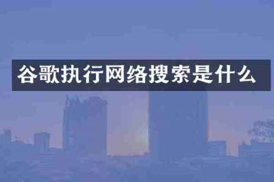 谷歌执行网络搜索是什么