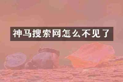 神马搜索网怎么不见了