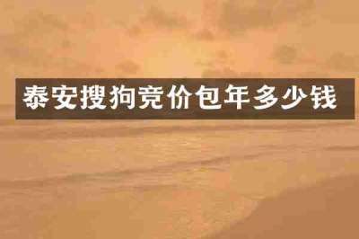 泰安搜狗竞价包年多少钱