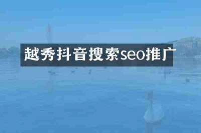 越秀抖音搜索seo推广