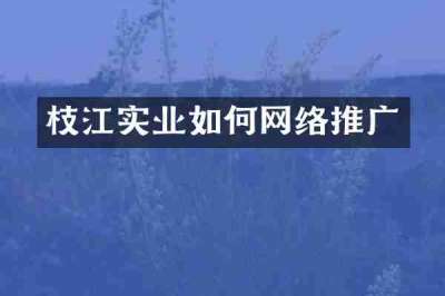 枝江实业如何网络推广