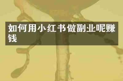 如何用小红书做副业呢赚钱