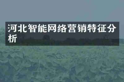 河北智能网络营销特征分析