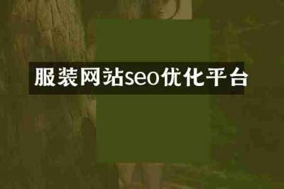 服装网站seo优化平台