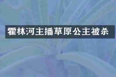霍林河主播草原公主被杀