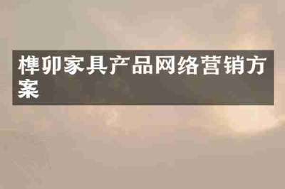 榫卯家具产品网络营销方案