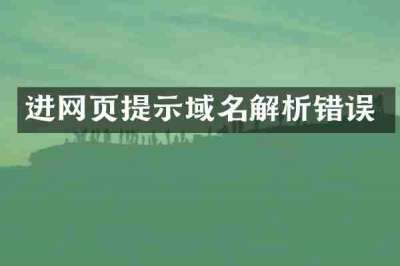 进网页提示域名解析错误