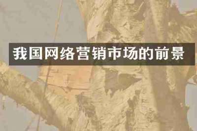 我国网络营销市场的前景