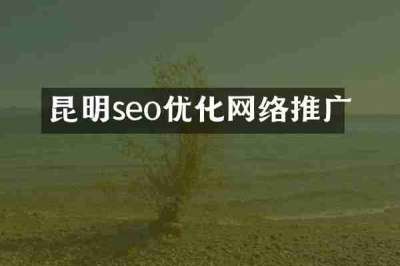 昆明seo优化网络推广