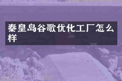 秦皇岛谷歌优化工厂怎么样