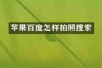 苹果百度怎样拍照搜索