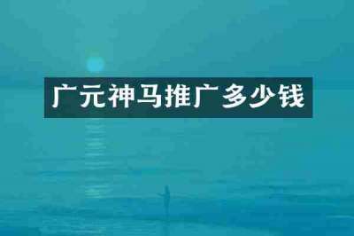 广元神马推广多少钱