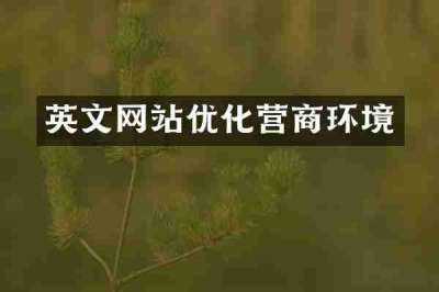 英文网站优化营商环境