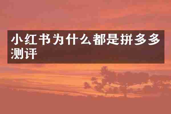 小红书为什么都是拼多多测评