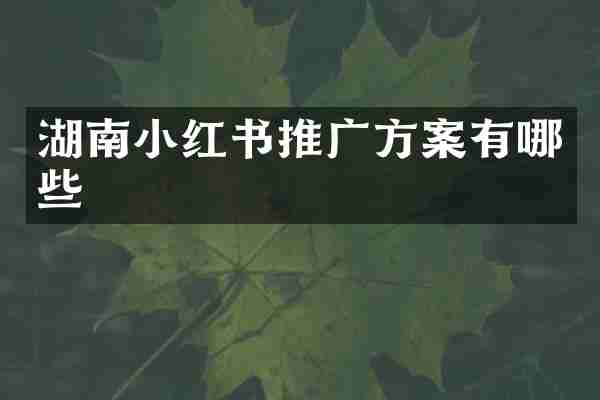 湖南小红书推广方案有哪些