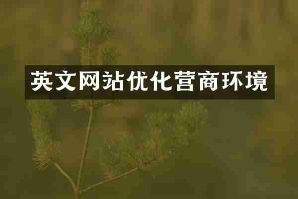 英文网站优化营商环境