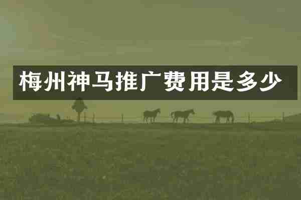 梅州神马推广费用是多少