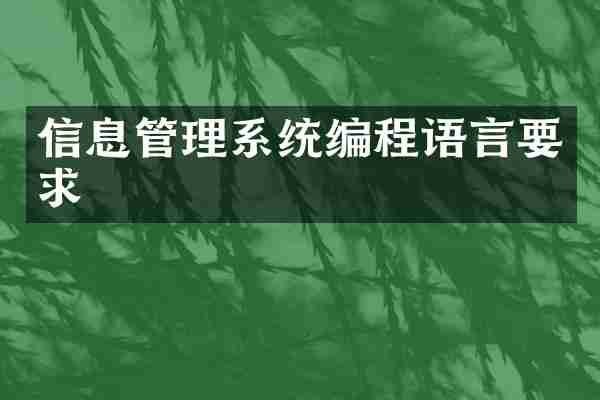 信息管理系统编程语言要求