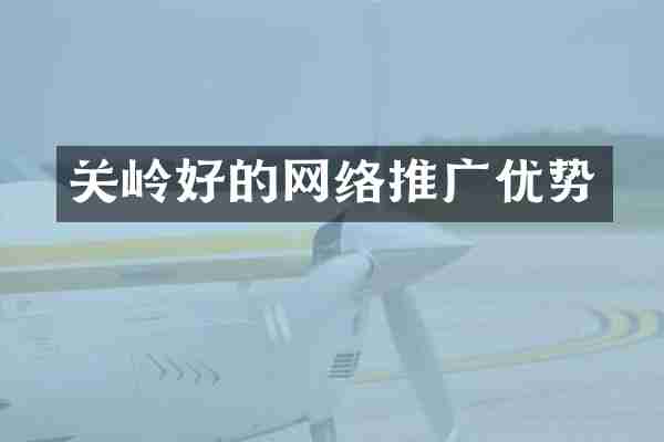 关岭好的网络推广优势