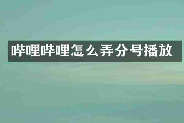 哔哩哔哩怎么弄分号播放