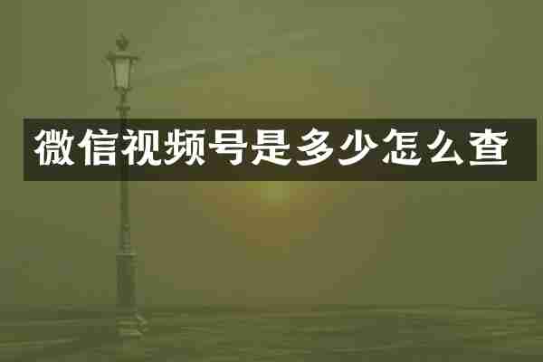 微信视频号是多少怎么查