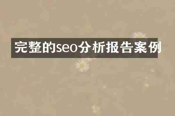 完整的seo分析报告案例